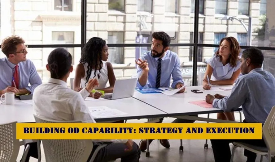 Building Organisational Development Capability: Strategy and Execution