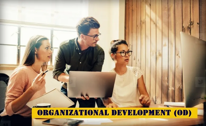 Organisational Development Masterclass