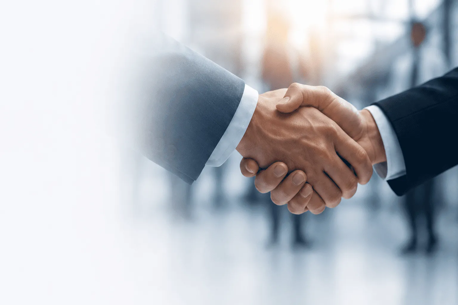 Partners Handshake